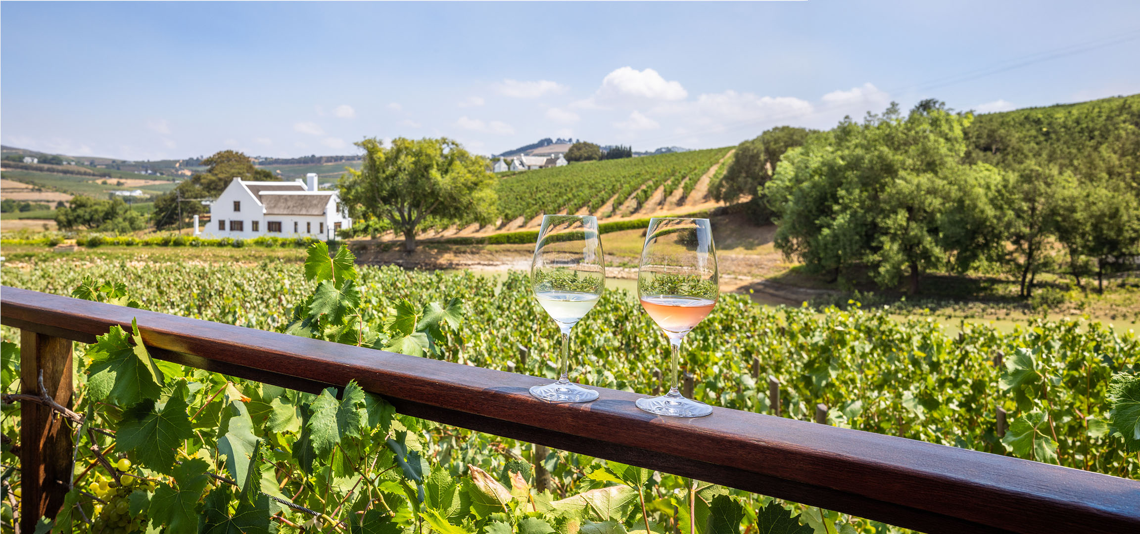 Zwei Gläser Wein, weiß und rosé, mit einem Weinberg und weißem Haus im Hintergrund.