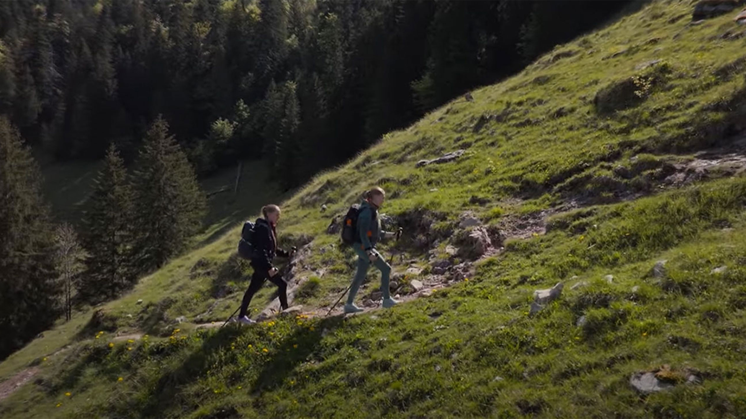 Zwei Wanderer mit Rucksäcken steigen einen Bergpfad hinauf.