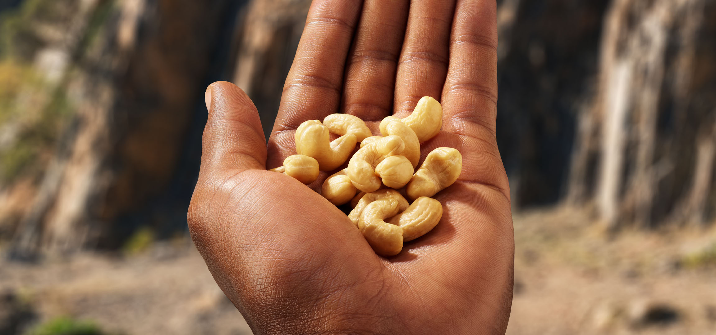 Hand hält rohe Cashewkerne vor verschwommenem Naturhintergrund