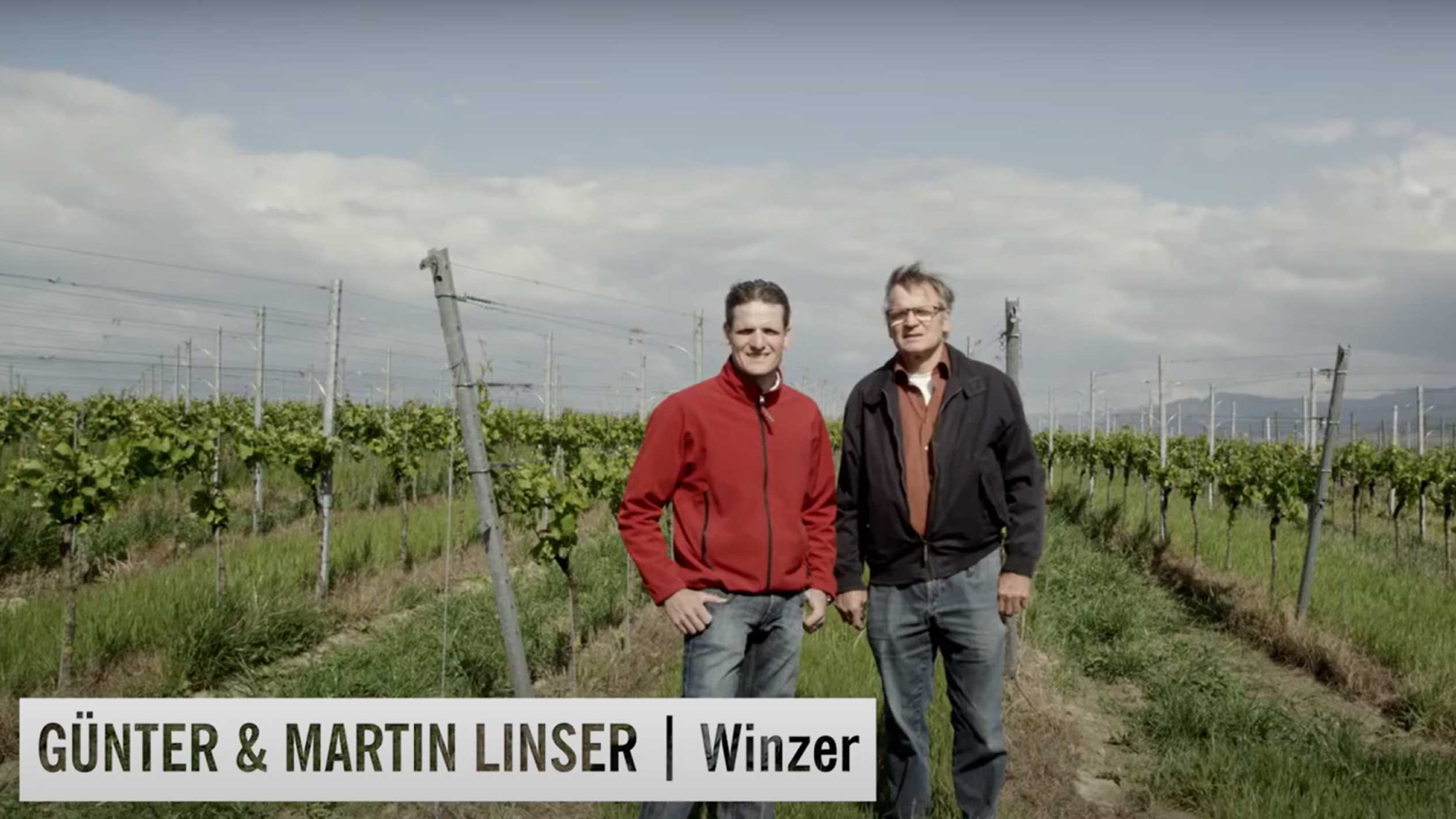 Zwei Männer im Weinberg, mit dem Text „GÜNTER & MARTIN LINSER | Winzer“.