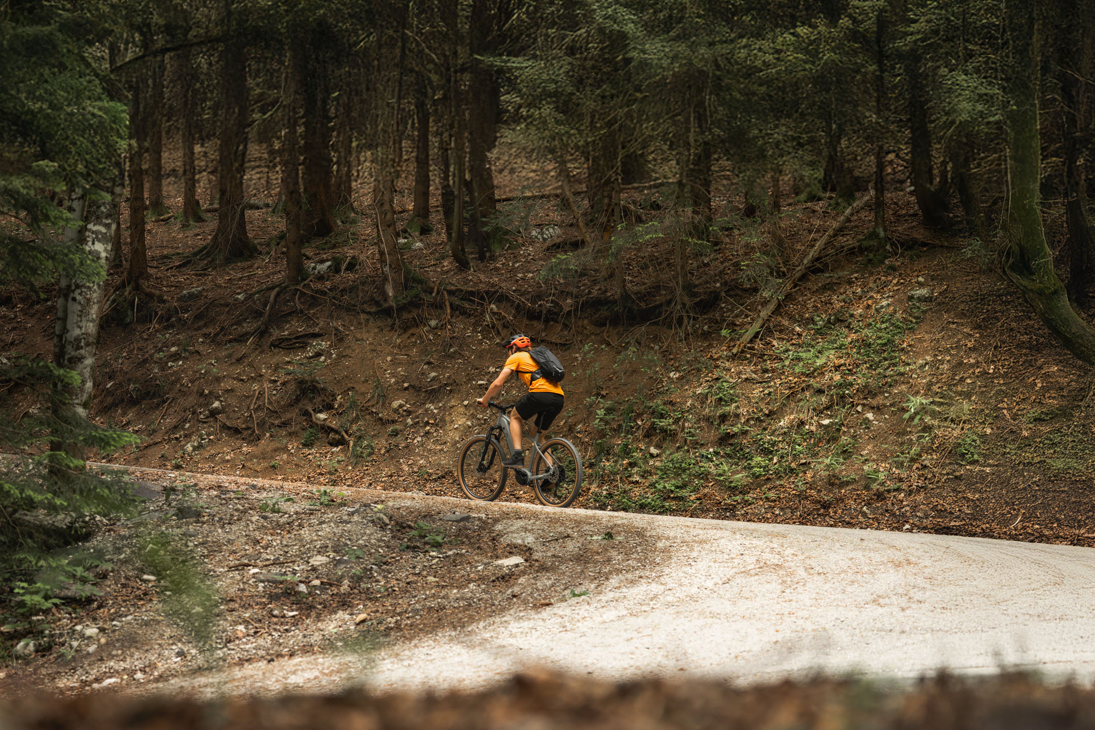 Mountainbiken im Wald.